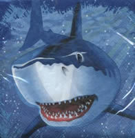 Shark Splash - Wal -Hai