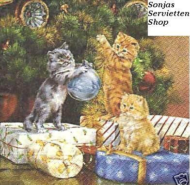 Katzen am Weihnachtsbaum