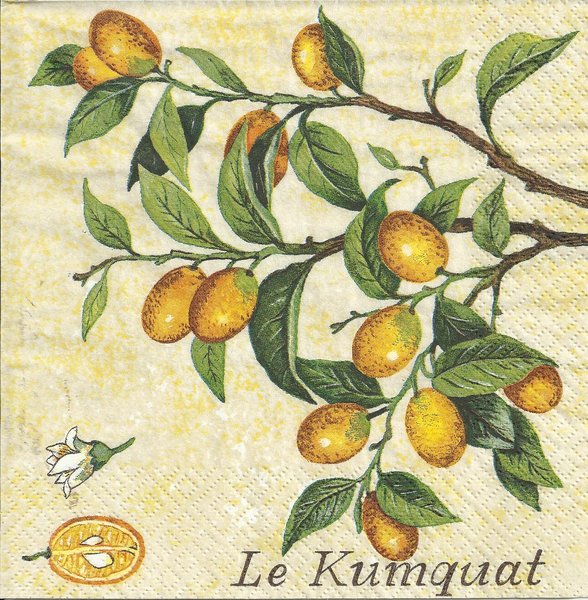 Kumquat   Frucht