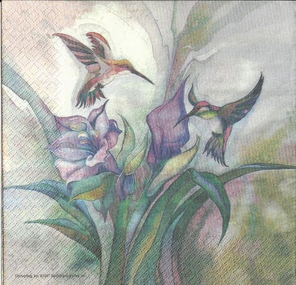 Kolibri an Blüte