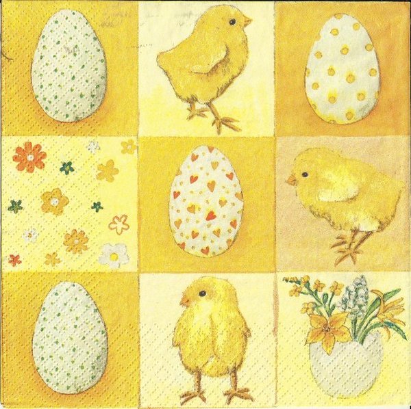 Küken und Eier