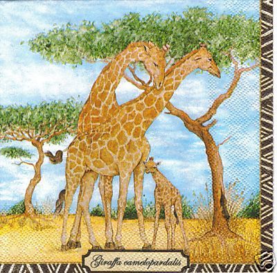 Giraffes   Giraffen-Familie