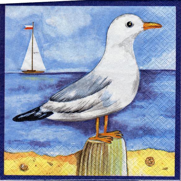 Seagull and Boat - Möwe