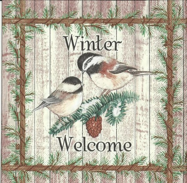 Welcome Winter  - Vögel