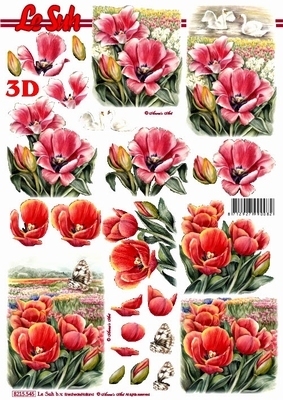 3D Bogen Schneidebogen Tulpen Felder  545