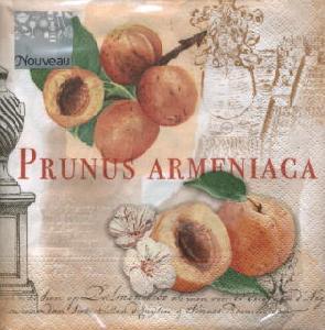 Prunus - Nostalgie - Aprikose
