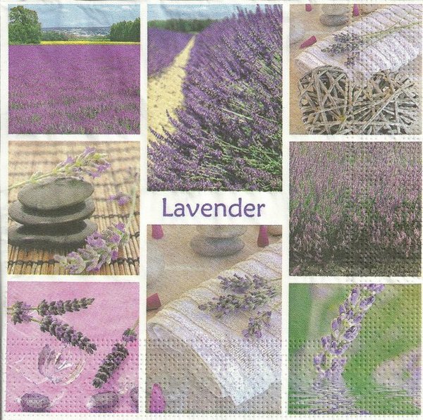 LAvendel - Ausschnitte