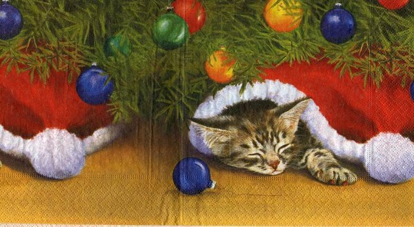 Katze unterm   Weihnachtsbaum