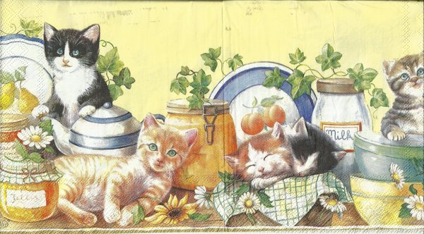 Pussy cats , KAtze auf Küchentisch  yellow