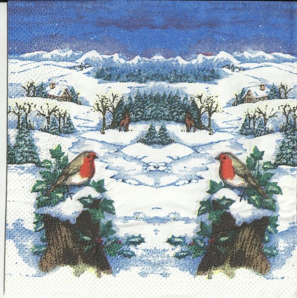 2 robins in winter