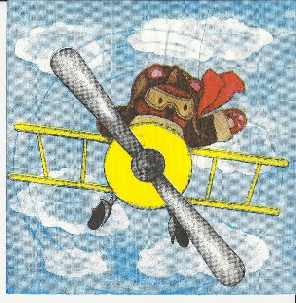 Teddy im Flugzeug