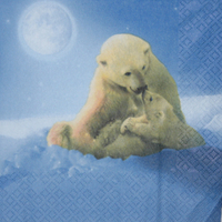 POlar Bear - Eisbär