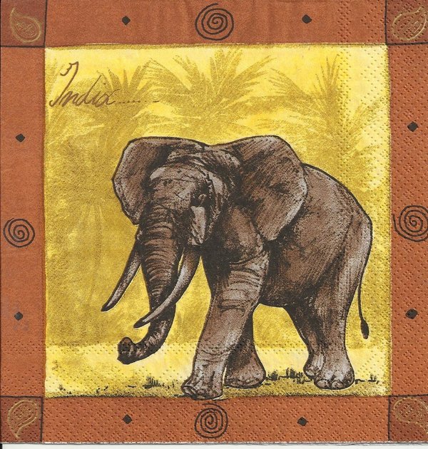 Jaipur indian elephant