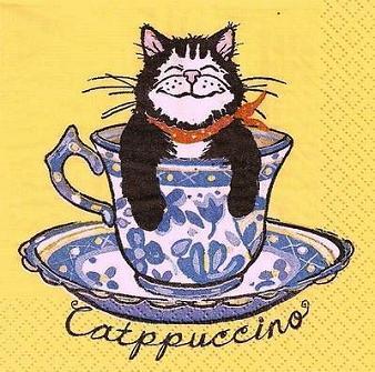 CAtppuccino  Cat  - Katze