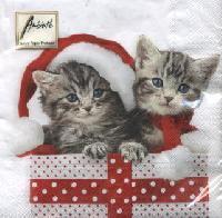 Christmas Kitten  Katzen