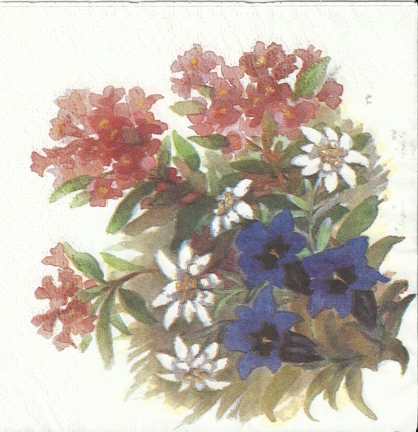 Alpenflowers - Enzian- Edelweiss