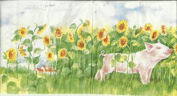 Schwein in Sonnenblumen