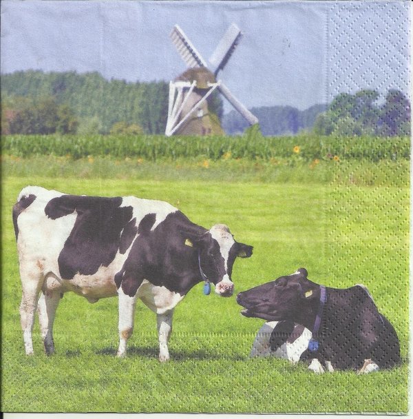 Holland Weide  -hollandse weide