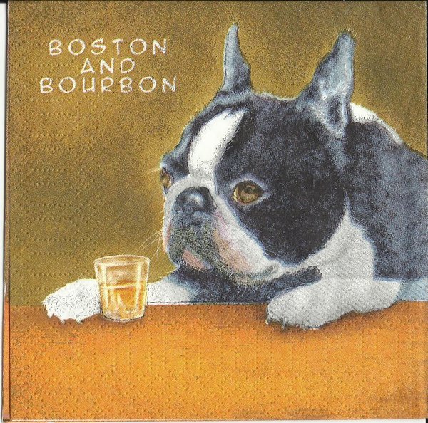Boston and Bourbon - dog