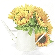 Mila Blumen in Vase Sonnenblume