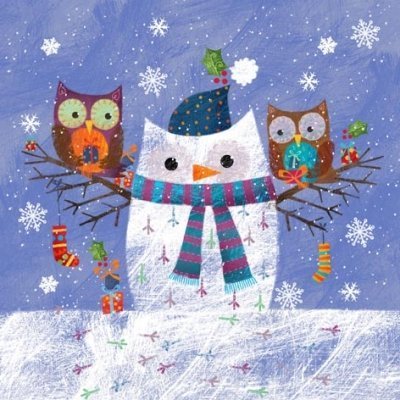 Chouette de neige et deux Hiboux - owl - Eule