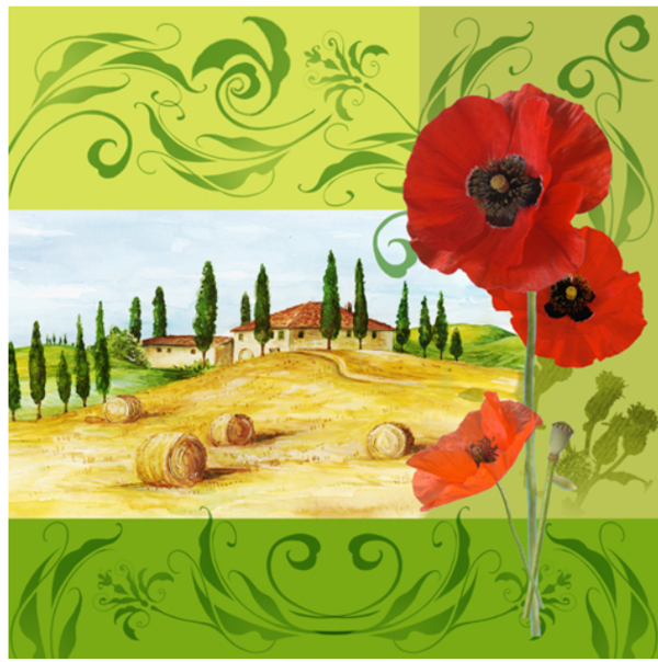 Papaveri di bella Toscana - Mohn der Toskana - Bella -Poppies of Toscano - Coquelicots de Toscano