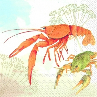 Crayfish -Krebs -écrevisse