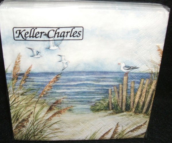 Seagull ocean Charles Keller