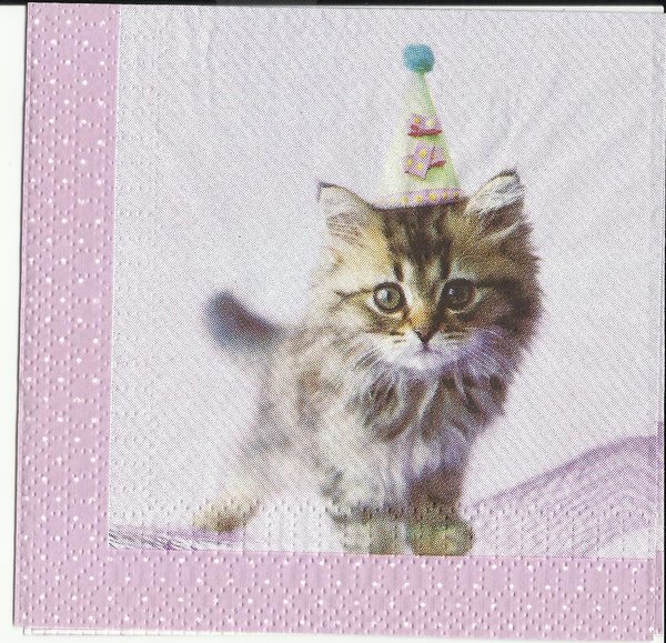 Katze mit Partyhut