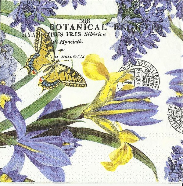 Botanical Iris Exotic