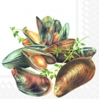 Mussels - Muscheln
