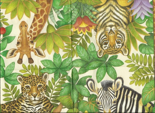 Dschungel & Wildlife