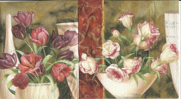 Carnation Tulpe - Rose