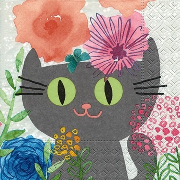Mimi  Katze  Blumen