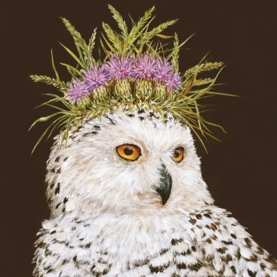 Snow queen  Owl