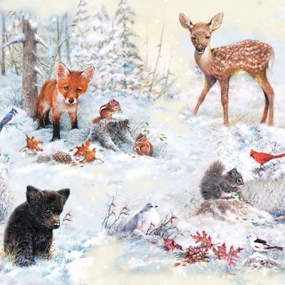 All Gathering - Tiere im Winter