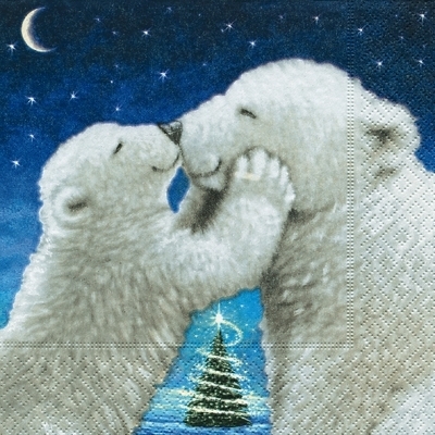 Polar Bear Kiss