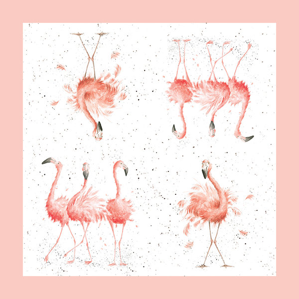 Flamingos  -Pretty