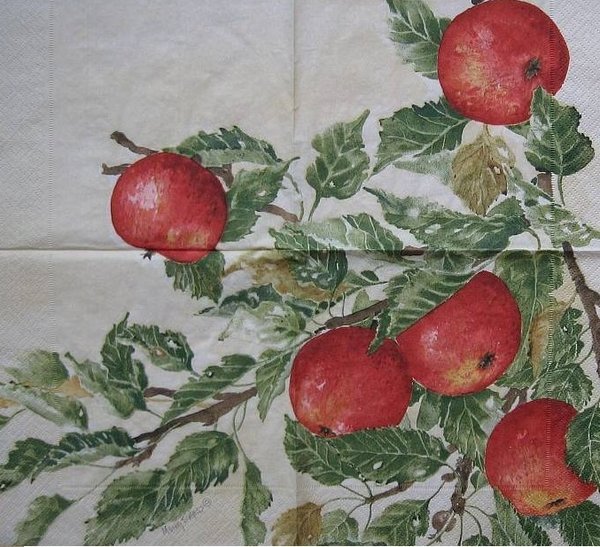 Svärd Äpfel - apples on tree- Ingrid Marie