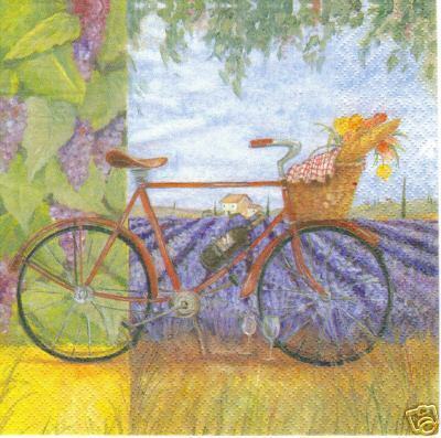 Reposer DAns les Provence, FAhrrad Lavendel