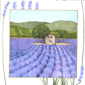 Haus Lavendelfelder  provence