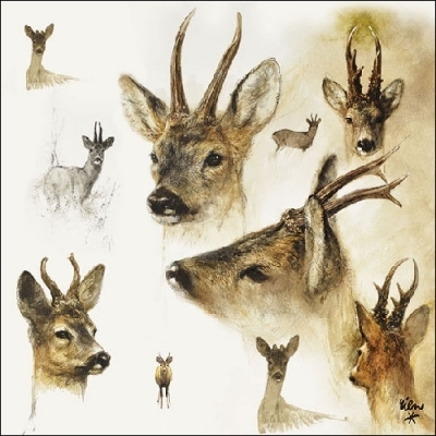 Portraits of Deer