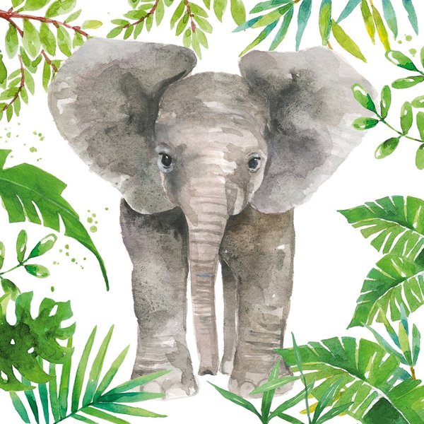 Tropical elephant
