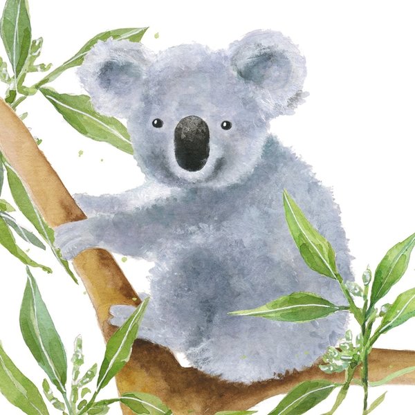 Tropical Koala Bear