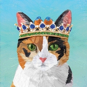 Cat Princess Grace