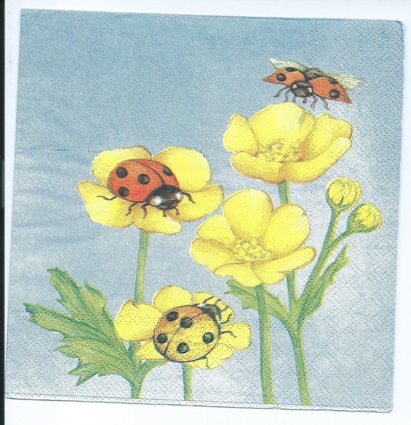gelbe Blume und Marienkäfer