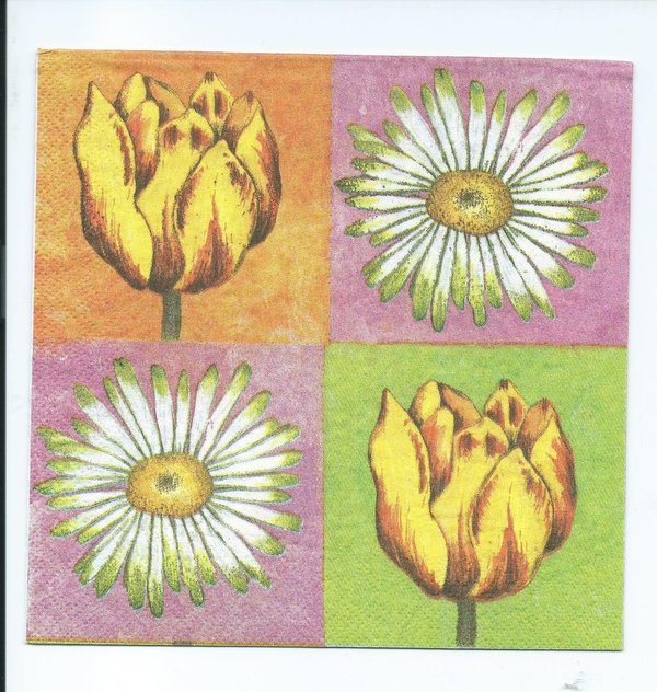Tulpen und Margeritten