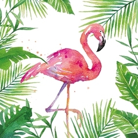tropical flamingo