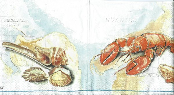 Lobster Hummer Muscheln