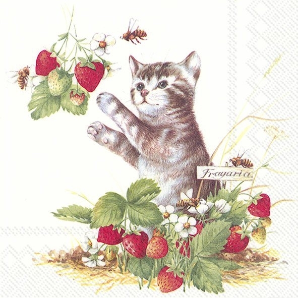 Kätzchen mit Erdbeeren